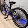 Carrera Saruna Kids Bike 20 inch Image 7
