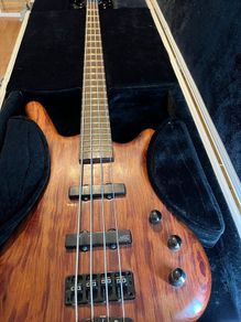 Warwick Bubinga, Warwick Gnome i Pro 600W V2, Warwick Gnome Pro CAB 2x10/8