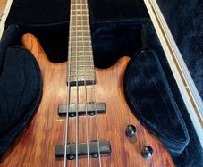 Warwick Bubinga, Warwick Gnome i Pro 600W V2, Warwick Gnome Pro CAB 2x10/8