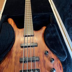 Warwick Bubinga, Warwick Gnome i Pro 600W V2, Warwick Gnome Pro CAB 2x10/8