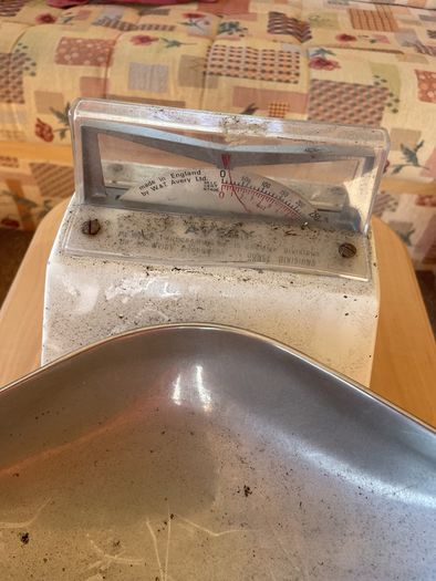 vintage  scales