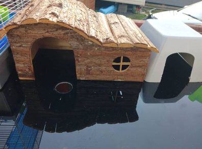 little pet houses