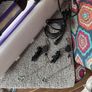 Plant grow light lumatek attis 300w Image 2