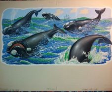 Authentic Angus McBride. Monsters of the Sea - Right Whales. Perfect Christmas Present.