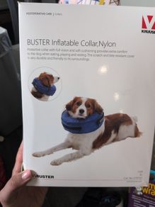 dog collar inflatable