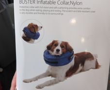 dog collar inflatable