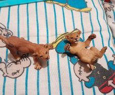 Papo lion cubs, retired, rare