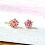 BN White Gold Pink Sapphire Star Studs Image 8