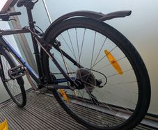 bike for adults