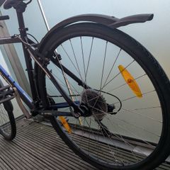 bike for adults