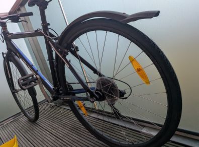 bike for adults