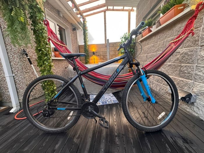 Team Hardtail bike