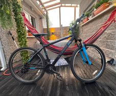 Team Hardtail bike