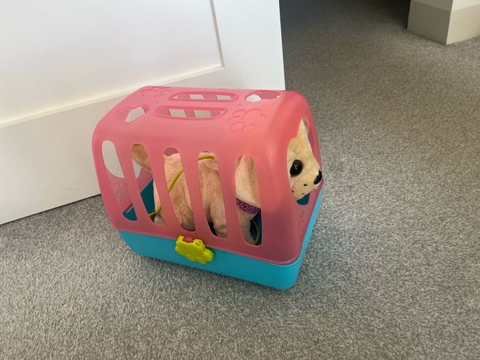Baby Born Walking Dog