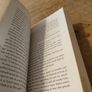 Paperback book, Passion Lauren Kate Image 4