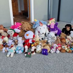 Soft Toys / Teddies