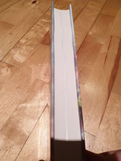 liverpool fc book