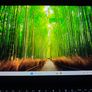 Lenovo ThinkPad T470s  - i7-7600U, 20GB RAM, 256GB NVMe, 14 in Touchscreen Image 2