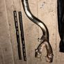 GRmoto Titanuim Exhaust 51mm Image 5