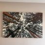 Canvas 138.5cm x 88.5cm Image 2