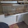bird cage Image 4