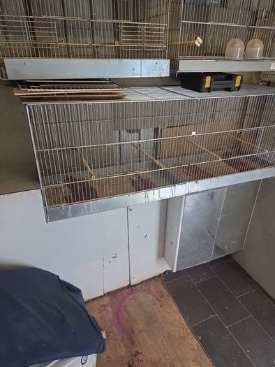 bird cage
