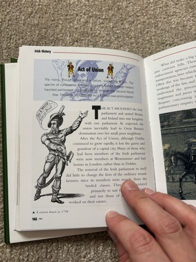 Irish History: From Prehistoric Times to the Present Day by Seamas Mac Annaidh