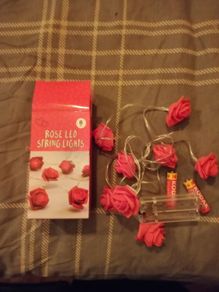 Red Rose & Pink String Lights
