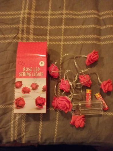 Red Rose & Pink String Lights