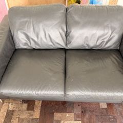 Natuzzi Sofa