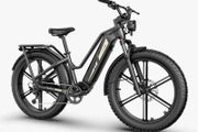 FIIDO Titan Cargo Electric Bike for today