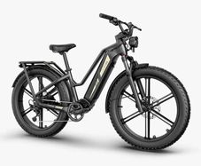 FIIDO Titan Cargo Electric Bike for today