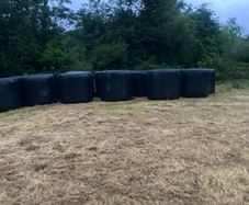 Round Bales of Hay and Silage for Sale
