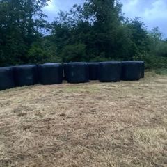 Round Bales of Hay and Silage for Sale