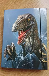 Dinosaur A4 Folder