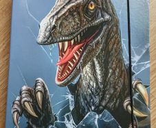 Dinosaur A4 Folder