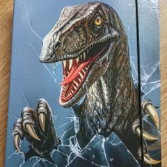 Dinosaur A4 Folder