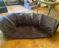 Cat Tunnel and Bed