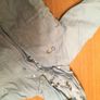 Name It 6-9 mth Boys Coat Image 2
