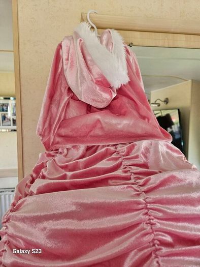 princess costume