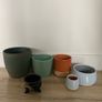 Plant Pote Image 2