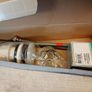 hansgrohe Logis Single Lever Basin Mixer 70 For Vented Hot Water Cylinders with Push-Open Waste - 71074000 Image 5
