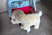 toy
