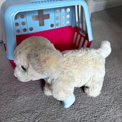 toy