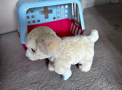 toy