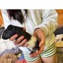 guinea pigs Image 2
