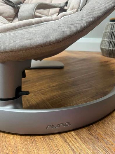 Nuna leaf bouncer
