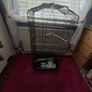 Black bird cage Image 4