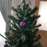 Christmas Tree Bundle Image 10