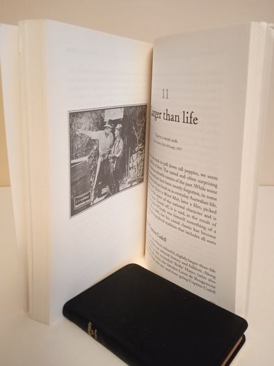 Larkins, Bush Tales & Other Great Australian Stories by Graham Seal (RB67)